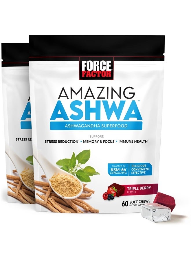 Zeaforce Force Factor FORCE FACTOR Amazing Ashwa for Stress Relief, Memory ...