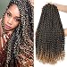 Dansama Passion Twist Hair Water Wave Braiding Hair for Butterfly Style Crochet Braids Bohemian Hair Extensions (22inch (Pack of 7), T1B/27) - Image 2