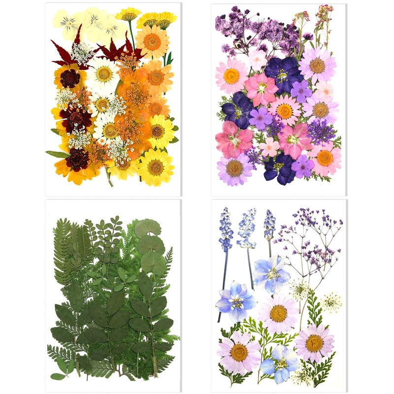 106 Pieces Assorted Real Dried Pressed Flowers Leaves Natural Dry Flowers for Resin Crafts SoapCandles Making Scrapbook SuppliesPinkPurpleYellowGreen