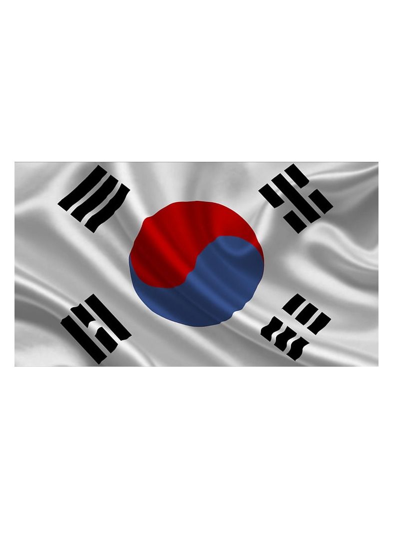 Romario AFC 2019 South Korea Flag Vivid Color And UV Fade Resistant, Lightweight, Show Support at Sporting Events and Other Celebrations, All Around Stitched - 96X64cm - Image 3