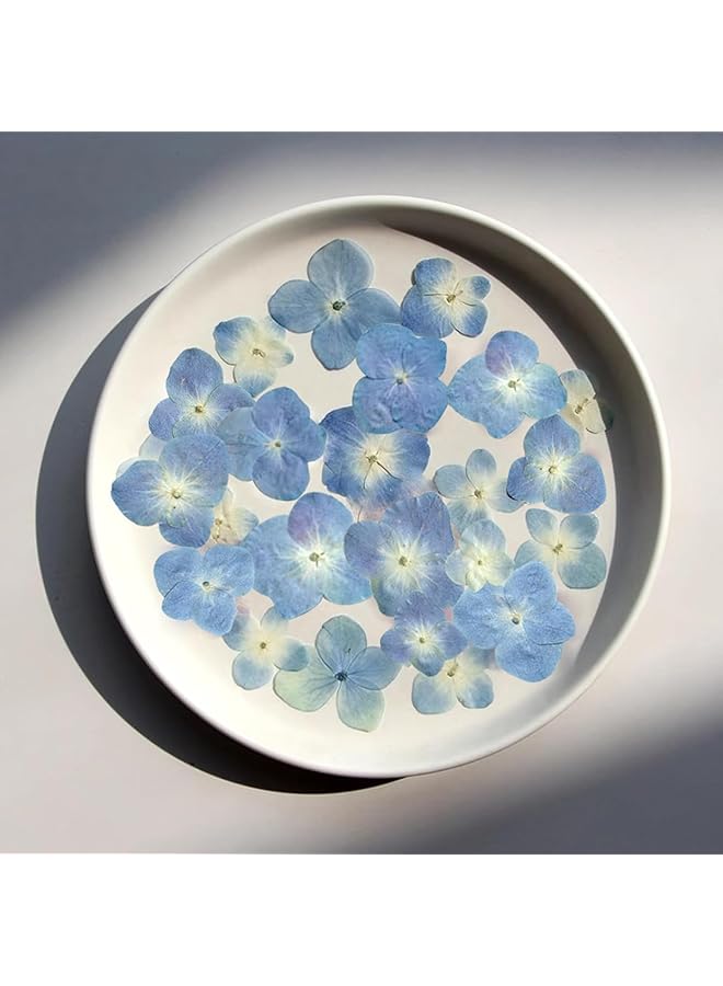 The Bros 48 Pcs Dried Pressed Flowers for Resin DIY Art - Natural Dry Hydrangea & Floral Epoxy Jewelry, Real Flower Decor for Cakes, Phone Cases, Candles & Handmade Soap - Image 1