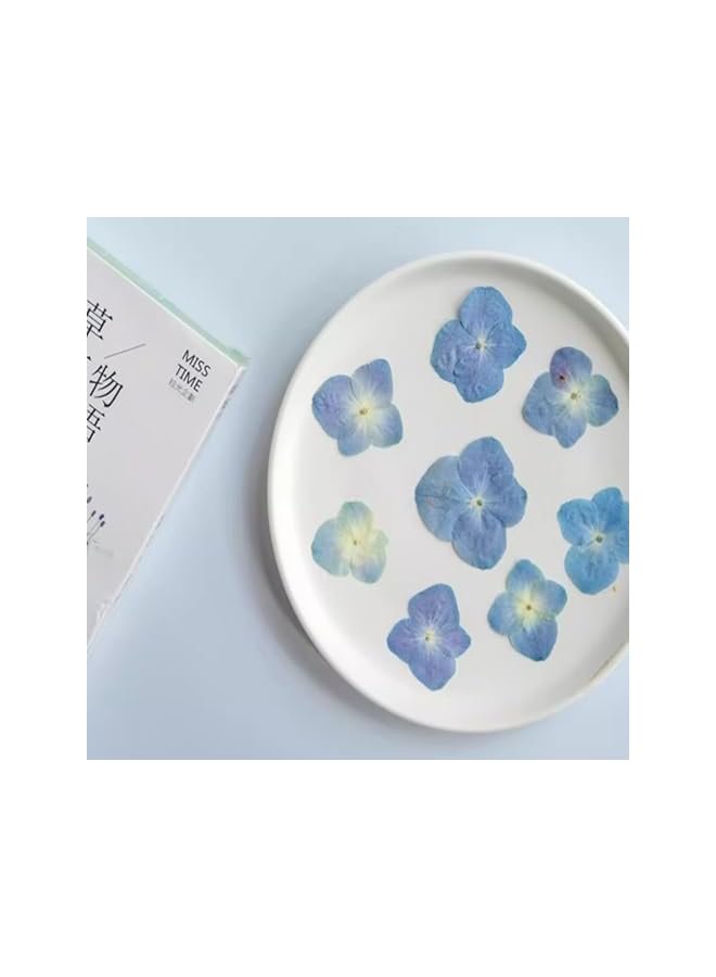 The Bros 48 Pcs Dried Pressed Flowers for Resin DIY Art - Natural Dry Hydrangea & Floral Epoxy Jewelry, Real Flower Decor for Cakes, Phone Cases, Candles & Handmade Soap - Image 2