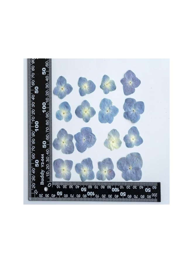 The Bros 48 Pcs Dried Pressed Flowers for Resin DIY Art - Natural Dry Hydrangea & Floral Epoxy Jewelry, Real Flower Decor for Cakes, Phone Cases, Candles & Handmade Soap - Image 5
