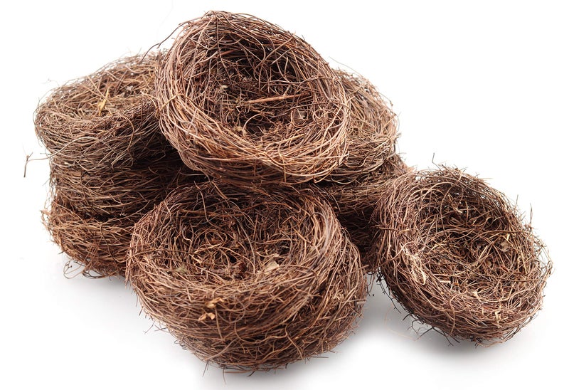 Exasinine 10 Pcs 5.5'' Artificial Bird Nest For Crafts  Easter  Party  Wedding  Patio Garden  Succulent Planter  Moss Landscape  Diy Terrarium And Spring Vignettes (5.5 Inches) - Image 1
