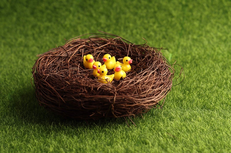 Exasinine 10 Pcs 5.5'' Artificial Bird Nest For Crafts  Easter  Party  Wedding  Patio Garden  Succulent Planter  Moss Landscape  Diy Terrarium And Spring Vignettes (5.5 Inches) - Image 5