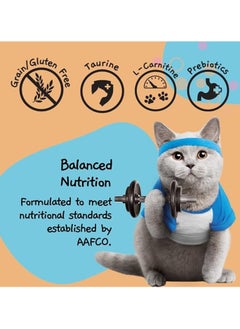 MOOCHIE Cat Adult Wet Food - Salmon Flavor Pate - 6x70g - Supports Weight Control  - Image 5