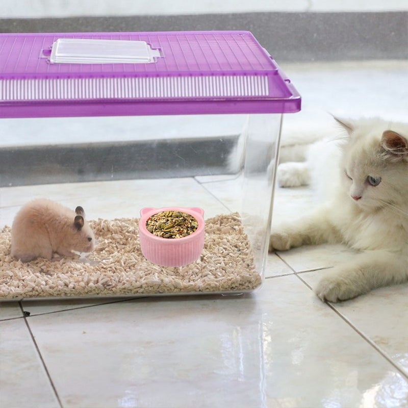 🐾 وعاء سيراميك للحيوانات الأليفة بتصميم بسيط لمنع الانسكابات مناسب للطعام والماء - Image 4