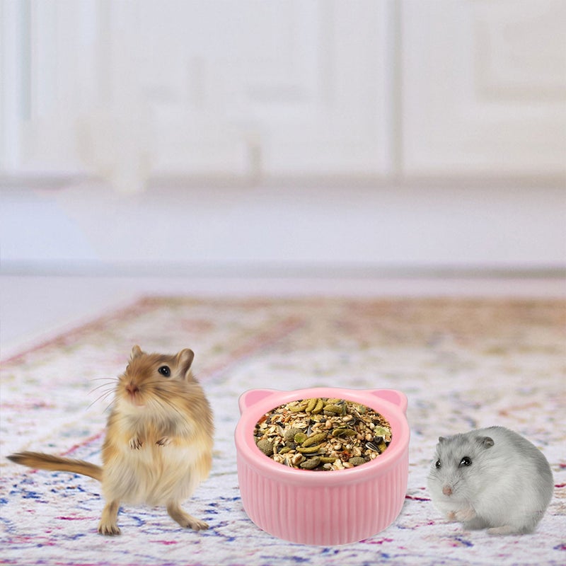🐾 وعاء سيراميك للحيوانات الأليفة بتصميم بسيط لمنع الانسكابات مناسب للطعام والماء - Image 3
