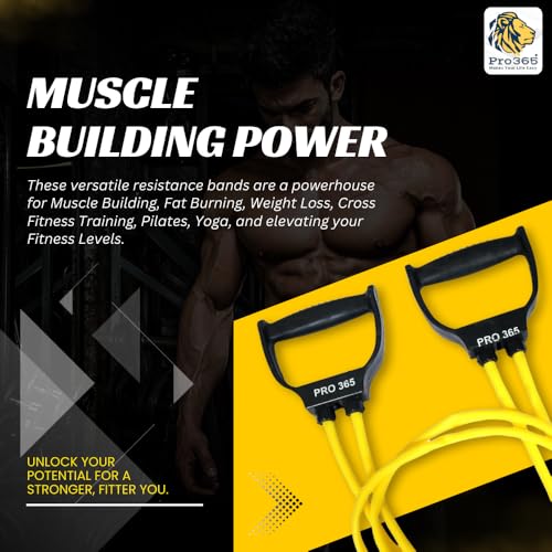PRO365 Tummy Trimmer, Pushup Board, Toning Tube with Abdominal Ab Wheel Exerciser Home Gym Exercise Equipment - Image 2