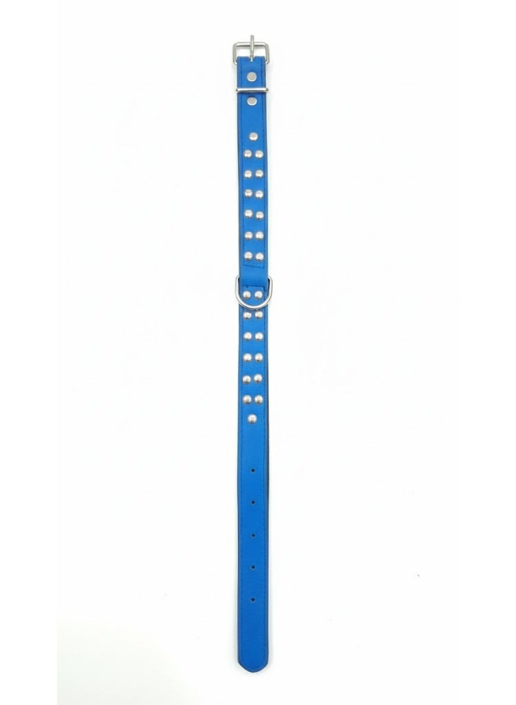 طوق كلاب مميز مرصع بالكامل – أزرق