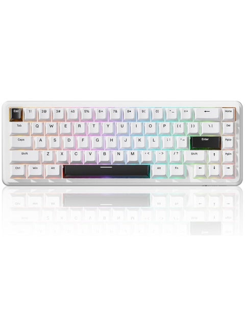 X65 HE Wired Rapid Trigger Magnetic Switch 65% Mechanical Gaming Keyboard, Hall Effect Top Mounted RGB Hot Swap,Adjustable Actuation,8KHZ Polling Rate,PBT Keycaps for Win/Mac(White)