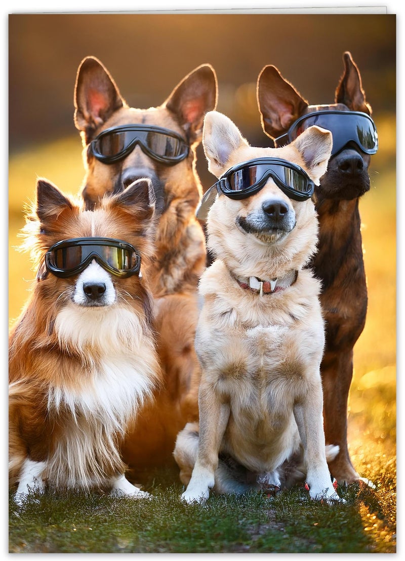 CardFool Funny Dog Birthday Card for Women, Men, Family & Friends â€“ Humorous Pet Greeting Card for those with too many candles on their cake! - Image 1