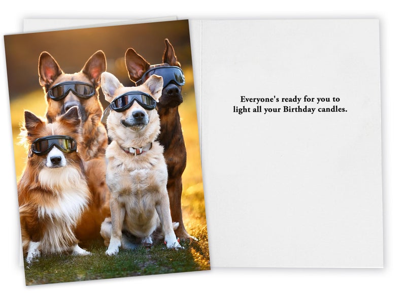 CardFool Funny Dog Birthday Card for Women, Men, Family & Friends â€“ Humorous Pet Greeting Card for those with too many candles on their cake! - Image 2