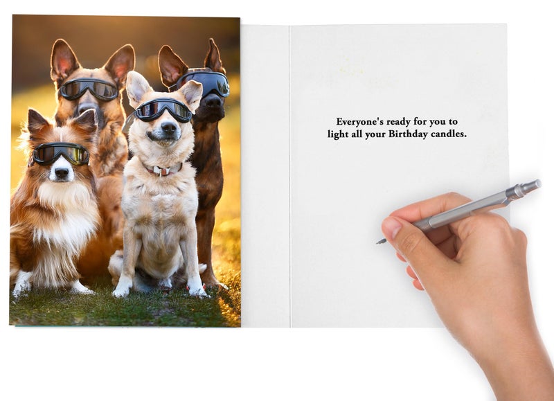 CardFool Funny Dog Birthday Card for Women, Men, Family & Friends â€“ Humorous Pet Greeting Card for those with too many candles on their cake! - Image 3