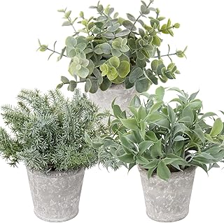 Briful Small Fake Plant Decor Artificial Potted Plants Set of 3 Faux Eucalyptus Rosemary Plants in Pots for Home Table - Image 1