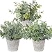 Briful Small Fake Plant Decor Artificial Potted Plants Set of 3 Faux Eucalyptus Rosemary Plants in Pots for Home Table - Image 2