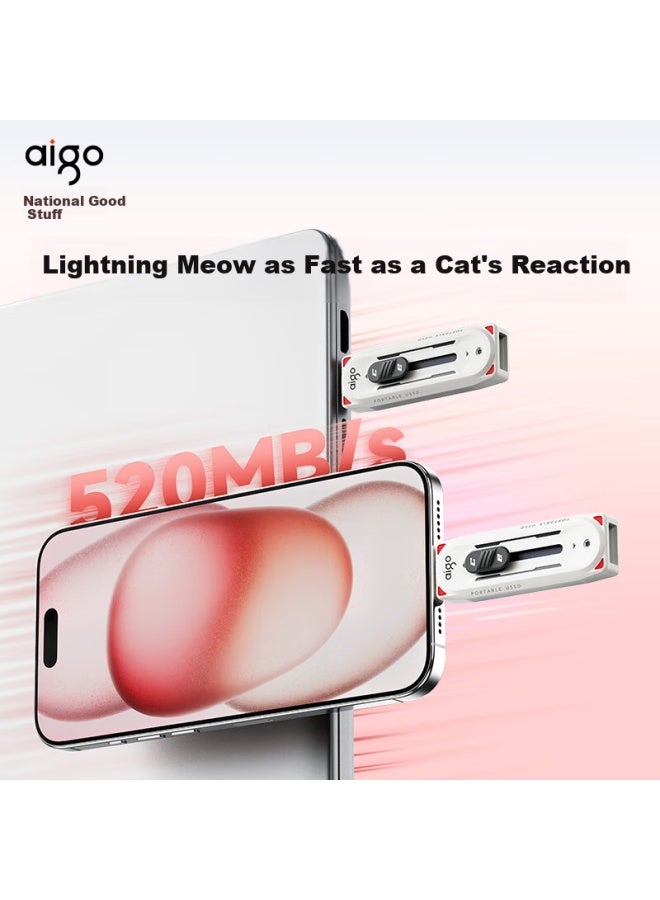 aigo Aigo 256Gb Usb3.2 Type-C Dual Interface Super Speed Solid State Drive M0 High Speed Solid State Drive Read 520Mb/S For Mobile Phone Computer Tablet - Image 1