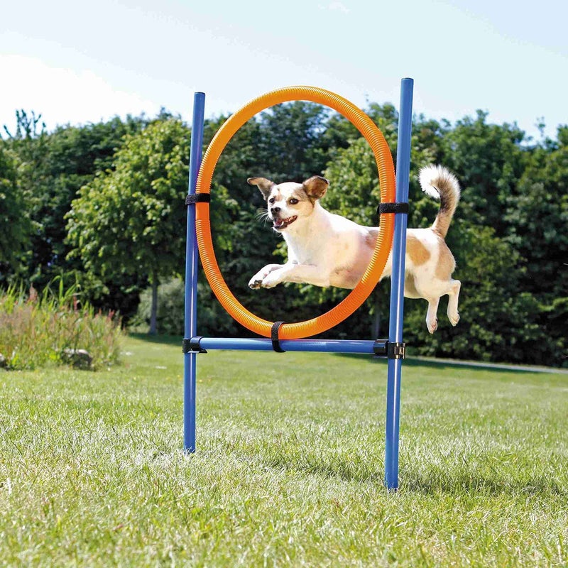Trixie : - Dog Activity Agility Ring | Made with Durable Material, Adjustable Height, Comes with Transport Bag | Can be Set Up and Dismantled Easily Due to Quick Action Locks - (Orange/Blue) - Image 1
