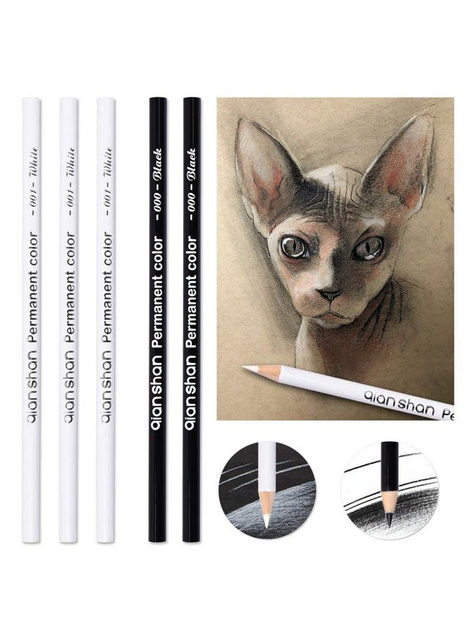 Qianshan 5Pcs Black White Color Pencils - Permanent Color Drawing Pencil Oil-Based Wooden Colored Pencils For Artist And Beginner Art Projects, 2 Colors Of 3 White, 2 Black  - Image 2