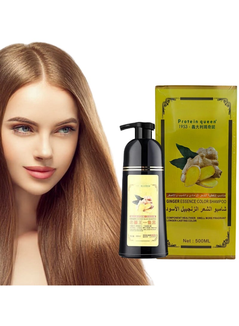 D Beauty 500ML Mokeru Ginger Hair Color Shampoo, Dark Coffee Hair Dye Colour Shampoo Design for White Grey Hair, Ammonia Free Long Lasting Color, Natural Plants Fragrant Smell No Damage to Hair for Women & Men - Image 1