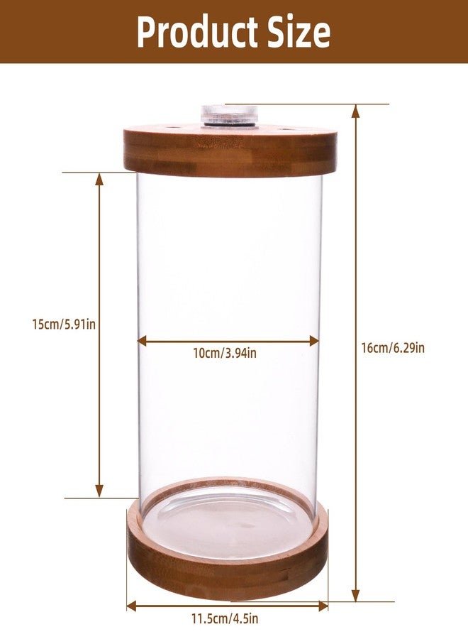 Saim Aquarium Starter Kits, Small Betta Fish Tank, Aquarium Tank Kit with LED Lighting Fish Bowl Accessories for Betta Gold Fish Baby Fish Shrimp Clownfish Guppy Diameter 3.94in, Height 5.91in - Image 2