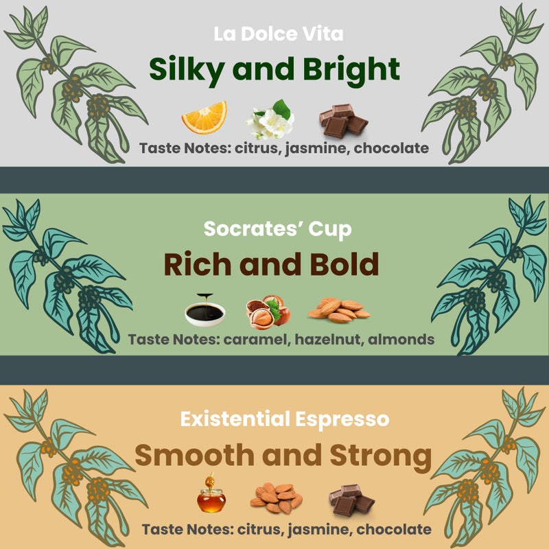 CO.PHI Coffee Philosophy Sample Pack Artisan Medley (3 x 100 gms) French Press Grind, Ground Coffee, Arabica Robusta Blend, Coorg, La Dolce Vita, Eureka, Existential Espresso, Washed Process - Image 2