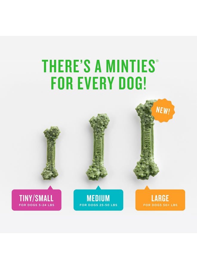 MiNTiES Dental Chews for Dogs, 40 Count, Vet-Recommended Mint-Flavored Dental Treats for Medium Dogs 25-50 lbs, Dental Bones Clean Teeth, Fight Bad Breath, and Removes Plaque and Tartar - Image 5