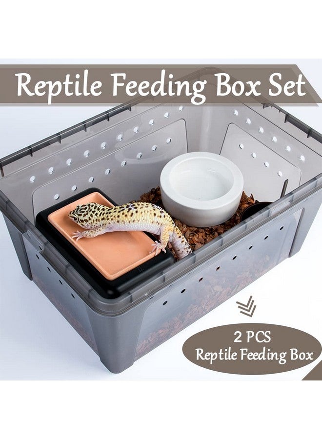 Hamiledyi 2PCS Reptile Feeding Box Snake Breeding Box Transparent Animal Habitat Cage Portable Plastic Turtle Transport Container for Bearded Dragon Lizard Spider Frog Scorpion Gecko 12.6 x 8.6 x 5.9 - Image 2