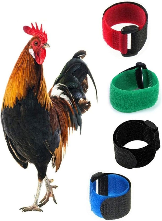 WsjiaboFux 2Pcs Black Anti Crow Rooster Cockerels Anti-Hook No Noise Nylon Neck Strap Pet Collar for Small Roosters - Image 4
