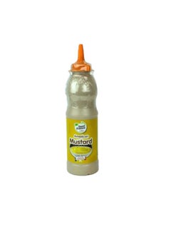 American Mustard Bottle400Gram - pzsku/ZEA49B1DBC7A1BF6A2FB6Z/45/_/1738674447/040ed43f-bd5c-4c71-9149-8ddf34a6efee