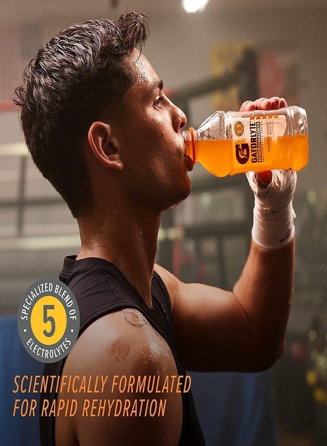Gatorade Gatorlyte Rapid Rehydration Electrolyte Beverage, Mixed Berry, 20oz Bottle - Image 4