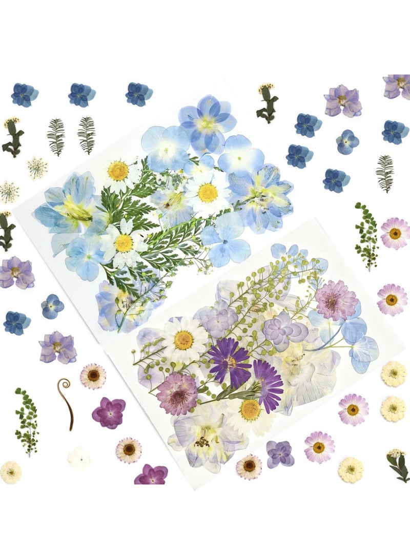 LuckSa 36 Pcs Dried Pressed Flowers for Resin DIY Art Crafts Natural Dry Floral Epoxy Jewelry Real Flower Decor Cakes Phone Cases Candles Handmade Soap - Image 1