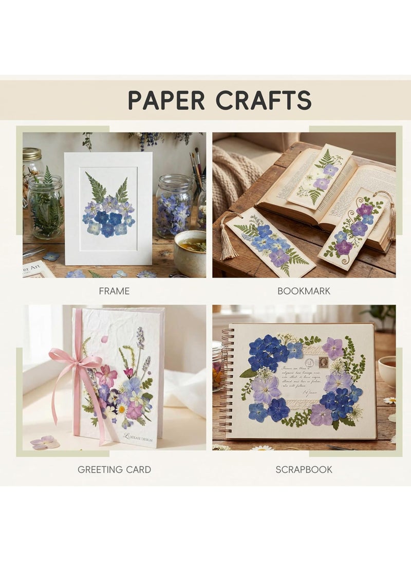 LuckSa 36 Pcs Dried Pressed Flowers for Resin DIY Art Crafts Natural Dry Floral Epoxy Jewelry Real Flower Decor Cakes Phone Cases Candles Handmade Soap - Image 3