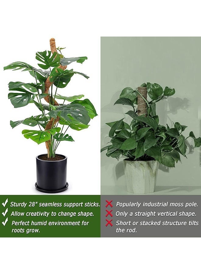 2 حزمة قطب الطحالب, 28 بوصة قطب الطحالب القابل للثني للنباتات Monstera, قطب الطحالب للنباتات المتسلقة في الداخل, قطب قطب عصا الدعم للنبات في وعاء, Pothos, Philodendron - Image 5