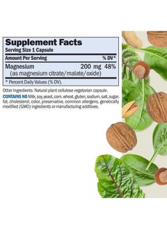 Andrew Lessman Andrew Lessman Magnesium Intensive Care 250 Capsules – 200mg Mild Ultra-Soluble Magnesium, Supports Nerves, Muscles, Brain and Heart, No Additives, Gentle to Even The Most Sensitive Stomachs  - Image 2