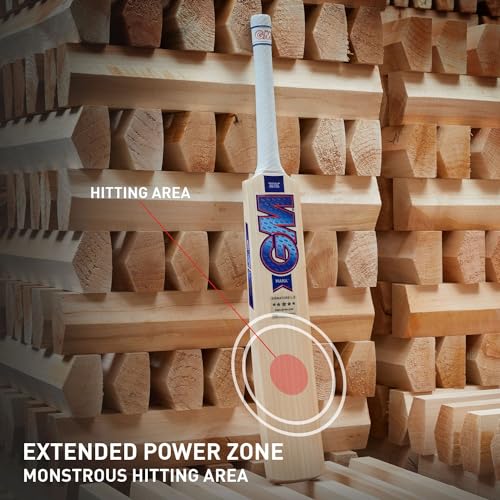 GM Mana Signature L.E English Willow Cricket Bat, Size Mens - Image 2