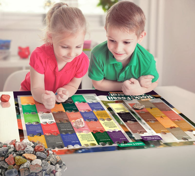 Dan&Darci Rock Collection for Kids - Includes 250+ Bulk Rocks, Gemstones & Crystals + Genuine Fossils and Minerals - 2 Lbs. - Geology Earth Science STEM Toys Activity, Gifts for Boys & Girls Ages 6+ - Image 4