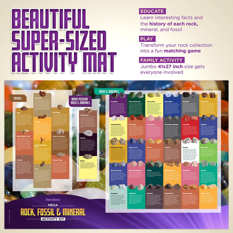 Dan&Darci Rock Collection for Kids - Includes 250+ Bulk Rocks, Gemstones & Crystals + Genuine Fossils and Minerals - 2 Lbs. - Geology Earth Science STEM Toys Activity, Gifts for Boys & Girls Ages 6+ - Image 3
