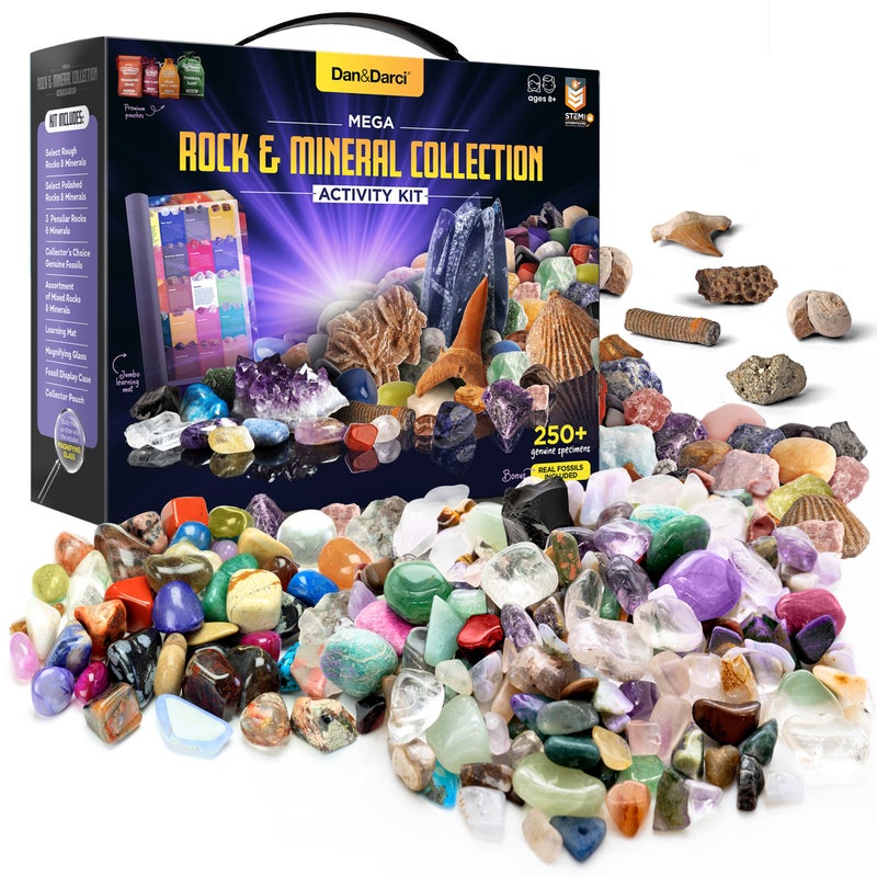 Dan&Darci Rock Collection for Kids - Includes 250+ Bulk Rocks, Gemstones & Crystals + Genuine Fossils and Minerals - 2 Lbs. - Geology Earth Science STEM Toys Activity, Gifts for Boys & Girls Ages 6+ - Image 1