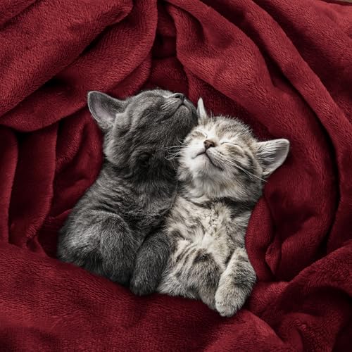 Utopia Bedding Fleece Blanket King Size Burgundy 300GSM Luxury Anti-Static Fuzzy Soft Microfiber Bed Blanket (90x102 Inch) - Image 4