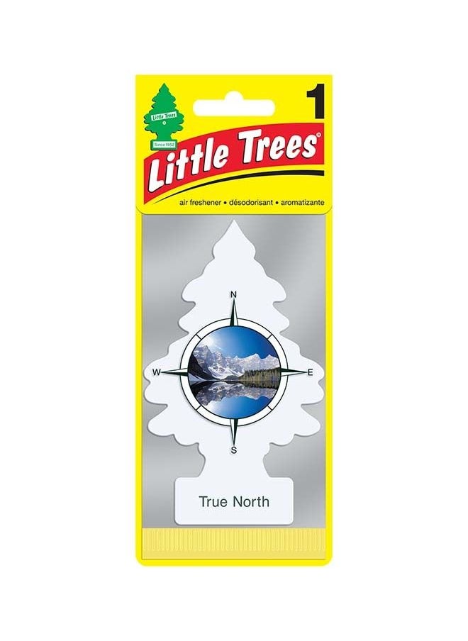 LITTLE TREES Little Tree Card True North 