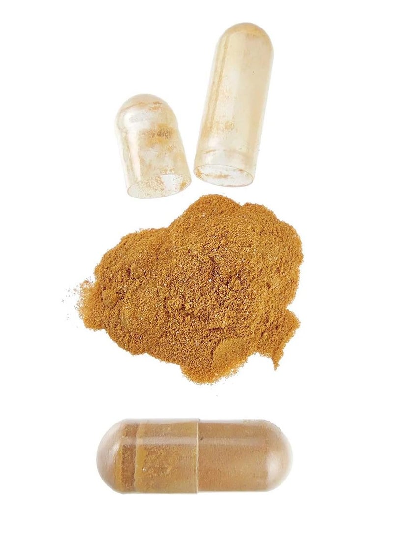 HSN Green Tea (25:1) Extract 500mg - 120 veg caps - Image 2