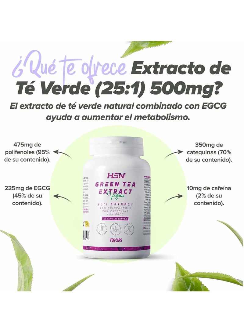 HSN Green Tea (25:1) Extract 500mg - 120 veg caps - Image 5