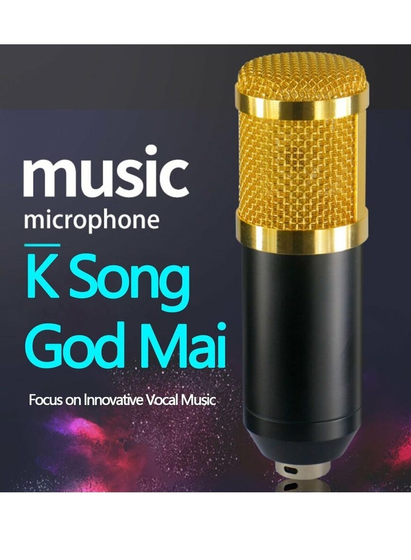 ELTRAZONE Professional Condenser Microphone With V8S Live Sound Card And Studio Recording Broadcasting Set Black/Gold - Image 2
