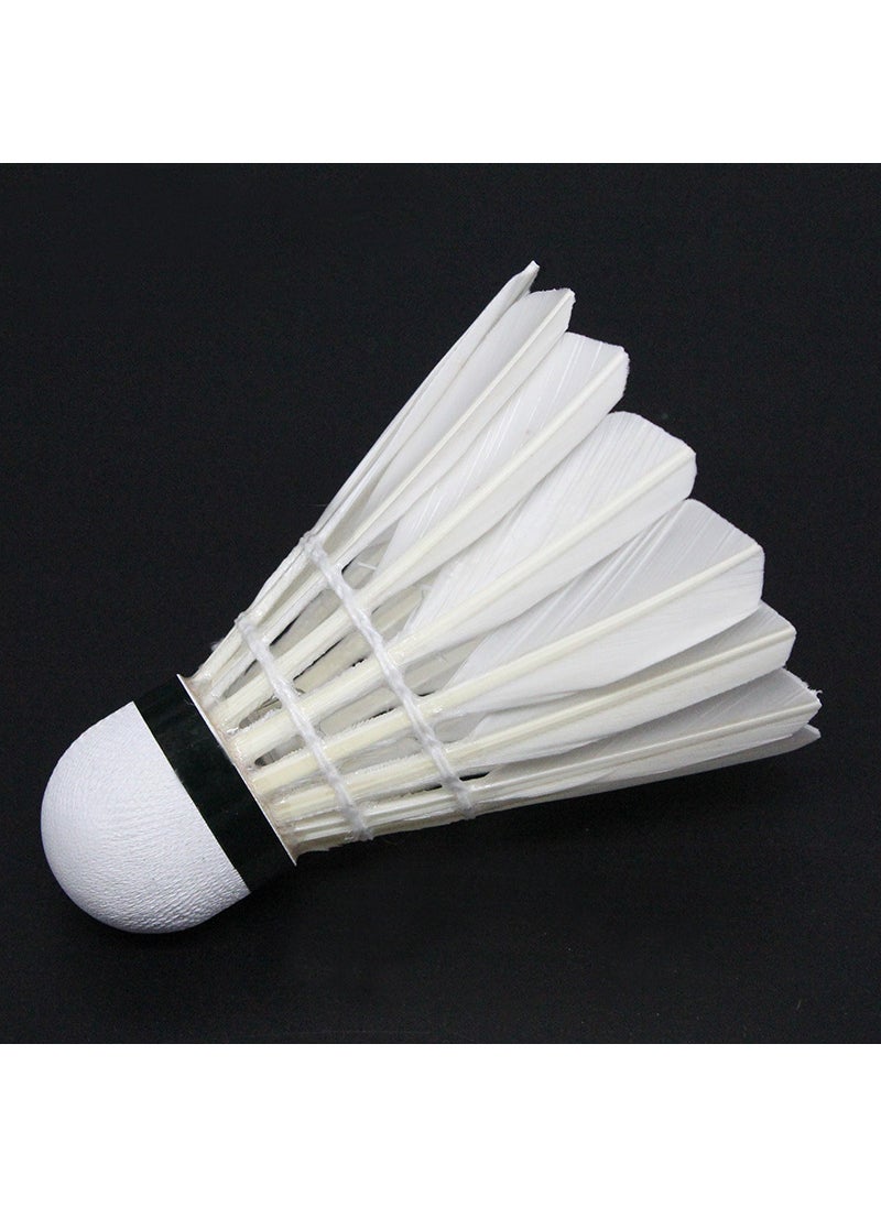 Generic Colorful LED Badminton Shuttlecocks Durable Night Play 505 white balls (two reds with lights + two green)