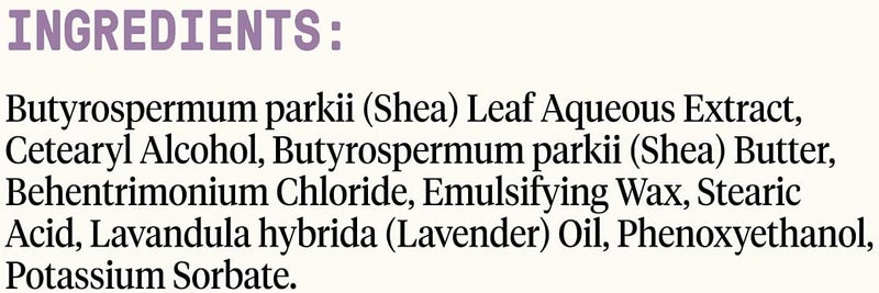 Alaffia (Lavender 470mls)  EVERYDAY SHEA CONDITIONER  Normal to Very Dry Hair Moisturising Support to Balance pH for Protected Luxurious Locks with Shea Leaf and Butter Fair Trade LAVENDER - Image 2