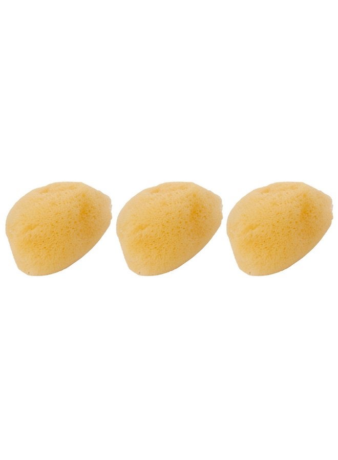 Zoo Med 3 Pack of Hermit Crab Sea Sponges