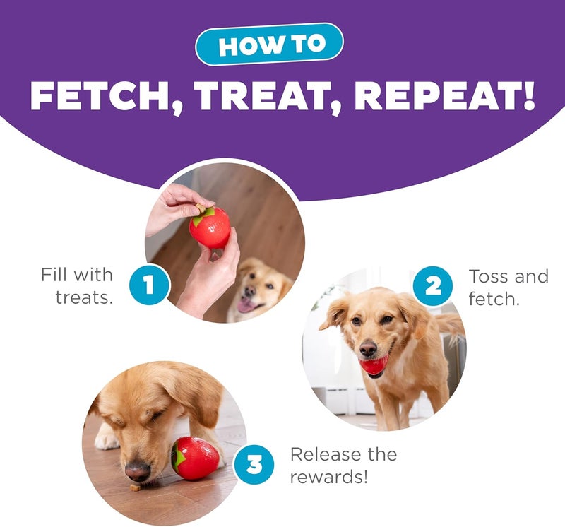 اوتورد هاوند لعبة مضغ للكلاب من Outward Hound Foodies على شكل جزرة وفراولة لتوزيع المكافآت، لون وردي - Image 4