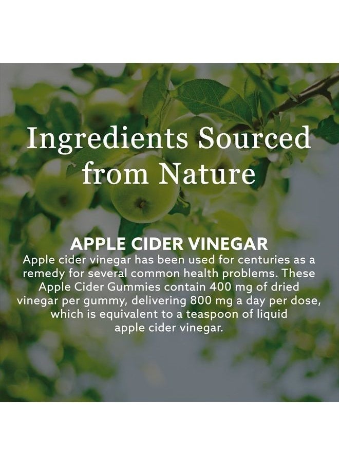 New Nordic Apple Cider Gummies | Vegan Chewable ACV Wellness Supplement | No Vinegar Taste | Contains Mother Strain | 60 Count (Pack of 1)  - Image 2