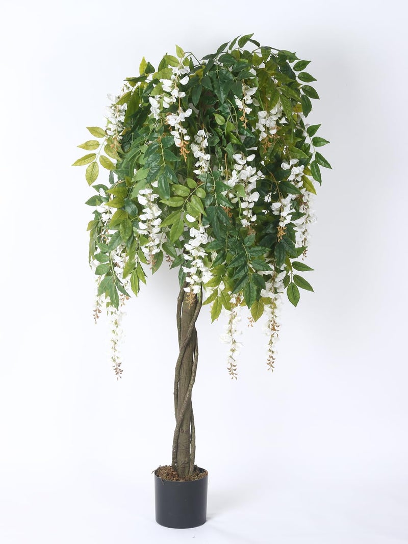 Home Bloom Artificial Realistic White Wisteria Tree Faux Plant for Indoor Dcor with Pot 180 cm Tall